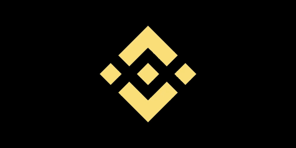 Binance (USDT) Global 100 USD