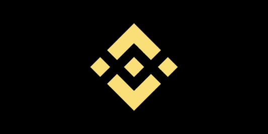 Binance (USDT) Global  100 USD